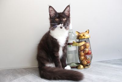 Chloe